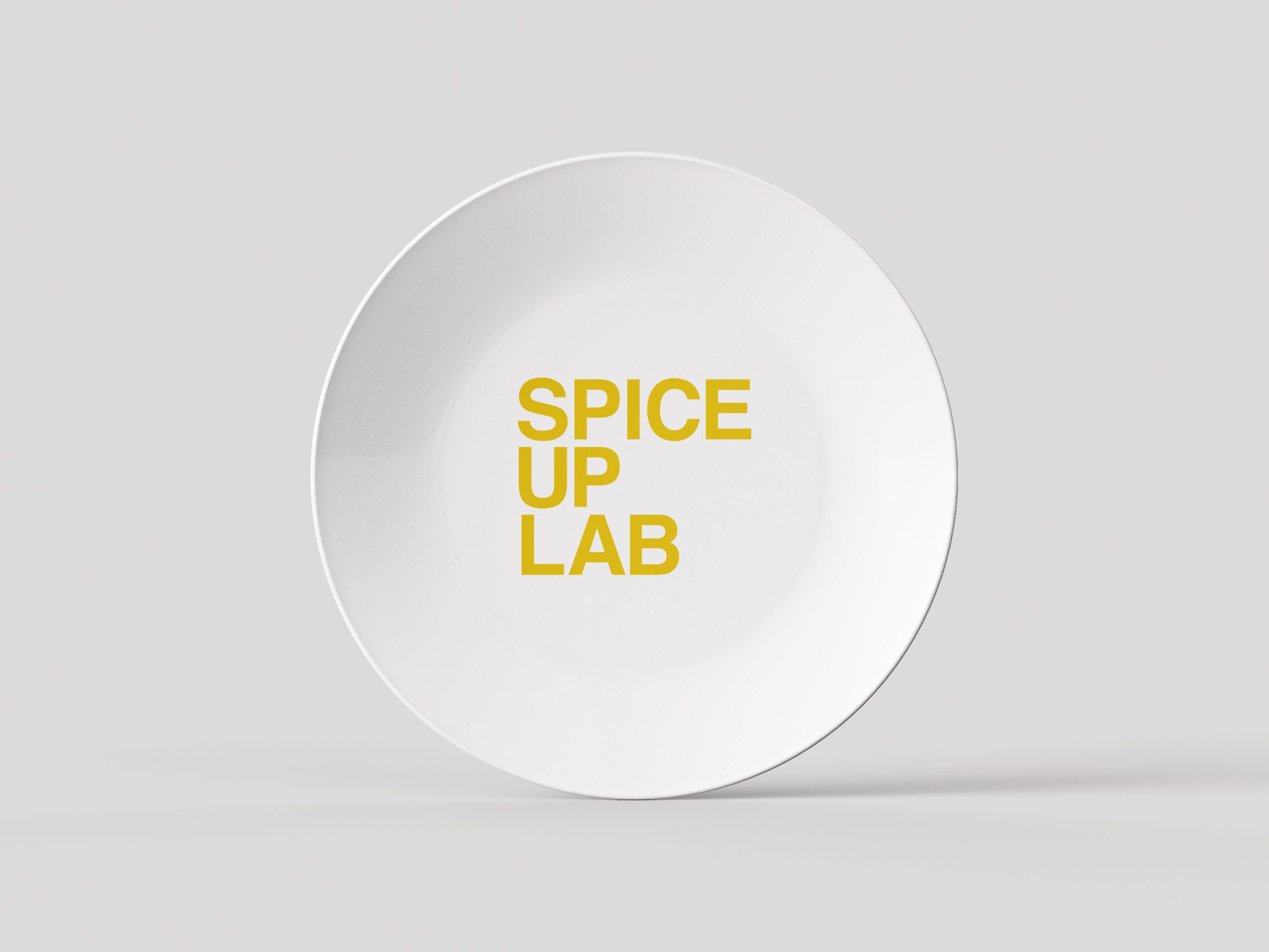 spice up lab